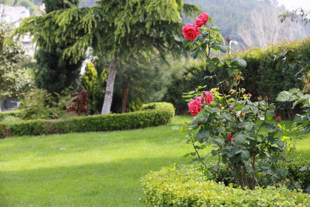 Hotel Elisso Kimméria Zewnętrze zdjęcie